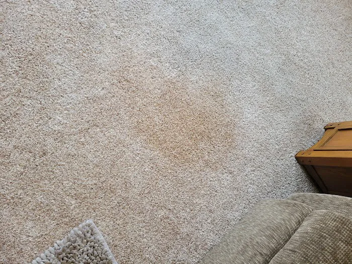 Stanley Steemer Picture 6