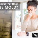 Quality Mold Remediation