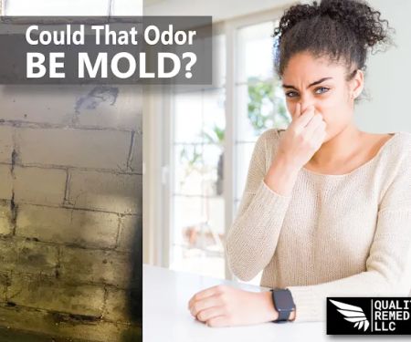 Quality Mold Remediation