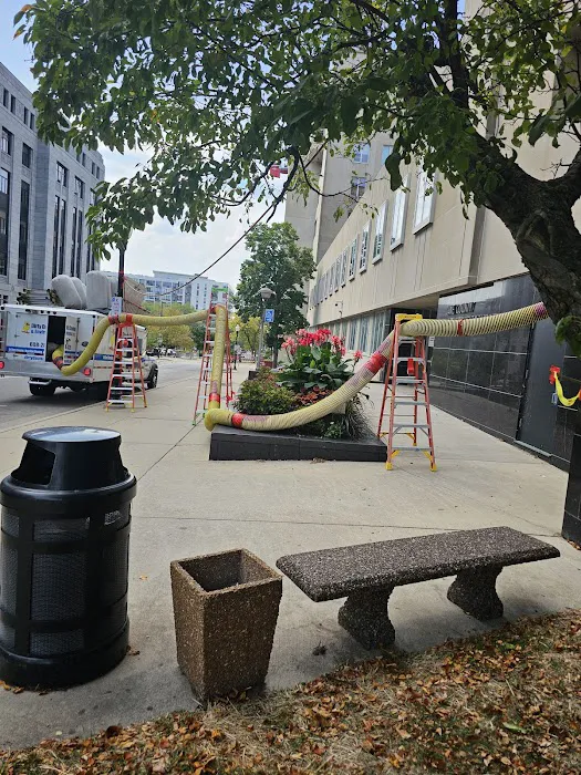 Dirty Ducts Cleaning & Environmental Inc Picture 6