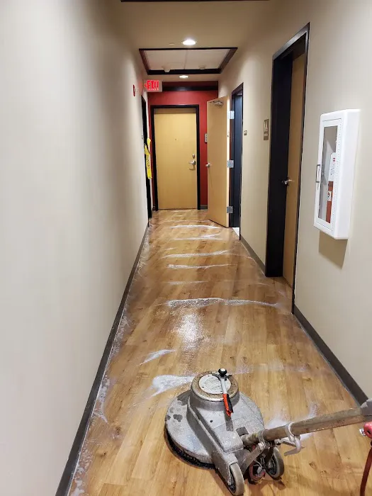 Mass Carpet Care Picture 6