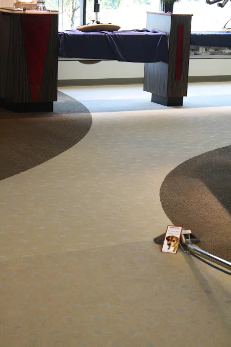 Mass Carpet Care Picture 10