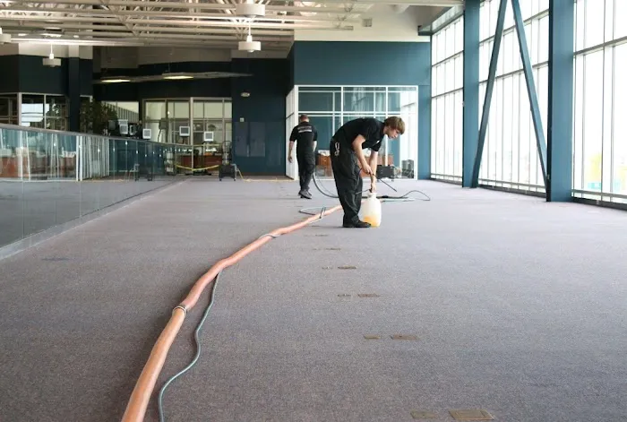 Mass Carpet Care Picture 7