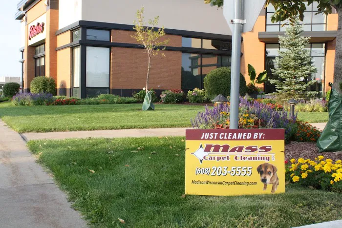 Mass Carpet Care Picture 4