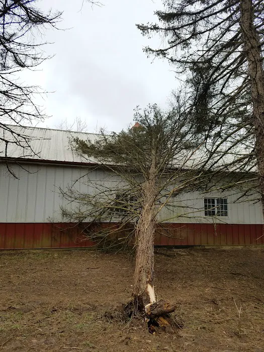 Specialty Cleaning Services Picture 4