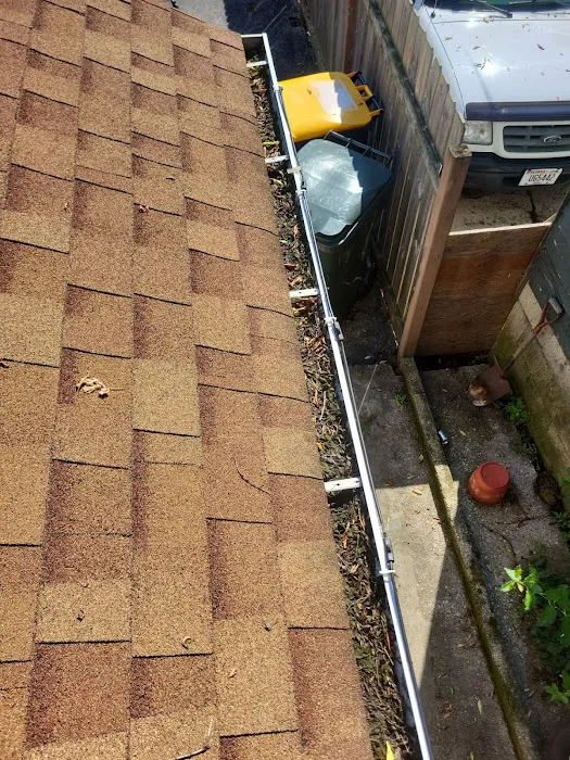 Leaf It 2 Me Picture 1