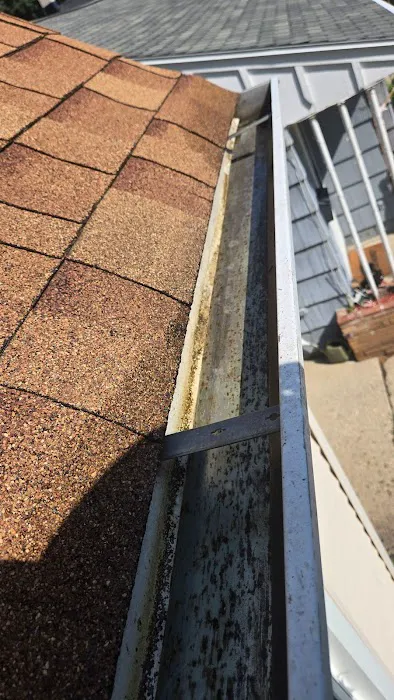 Leaf It 2 Me Picture 7