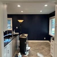 Culver's Painting ico