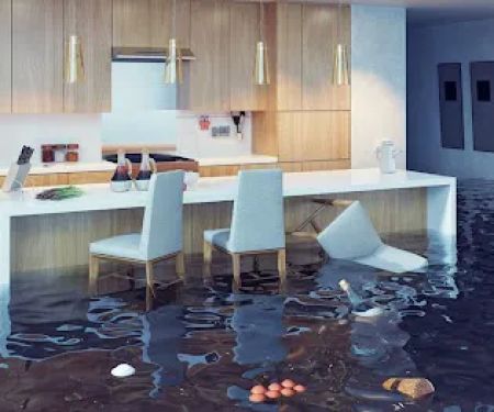 Xtreme Cleaning & Restoration