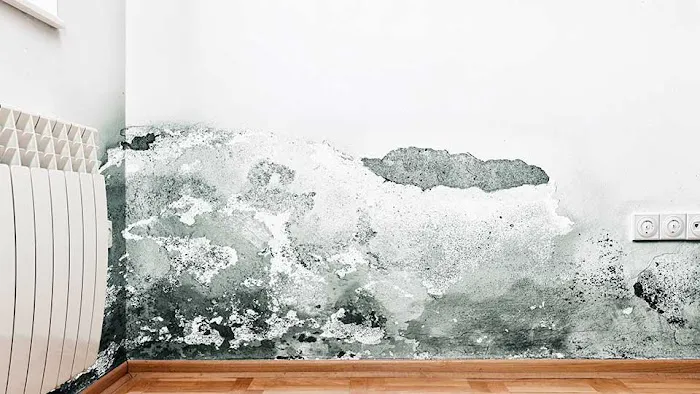 Xtreme Cleaning & Restoration Picture 2