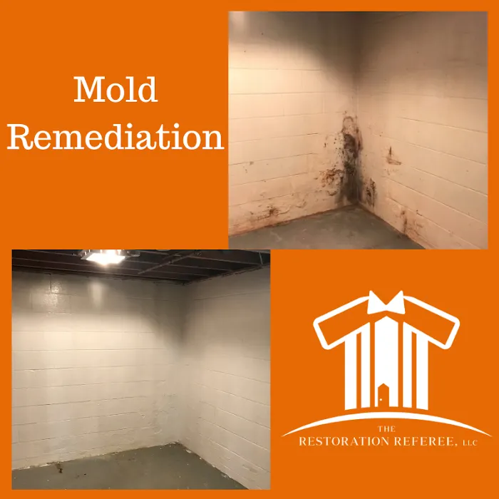 The Referee Picture 6