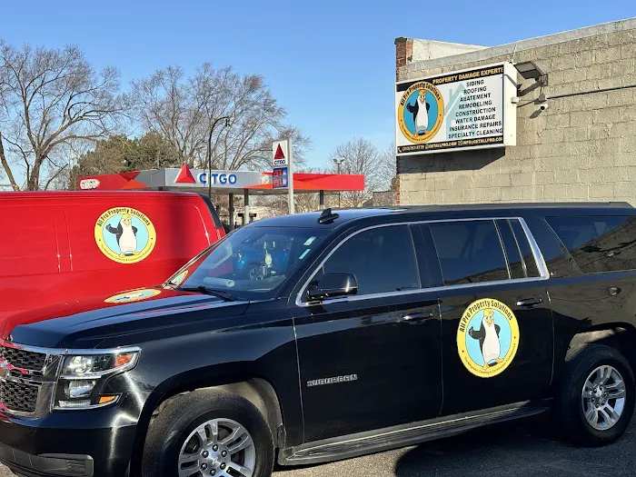 All Pro Property Solutions LLC Picture 1