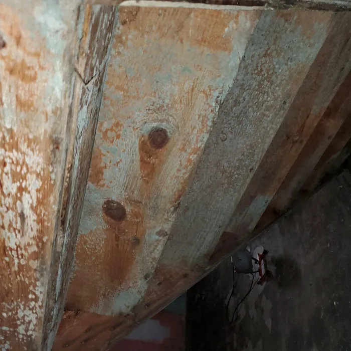 Master Care Restoration Services, Inc Picture 10