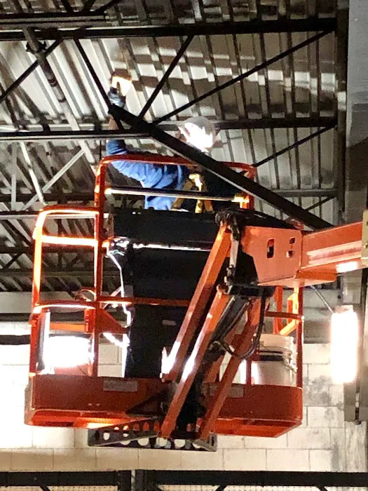 AAA Standard Picture 8