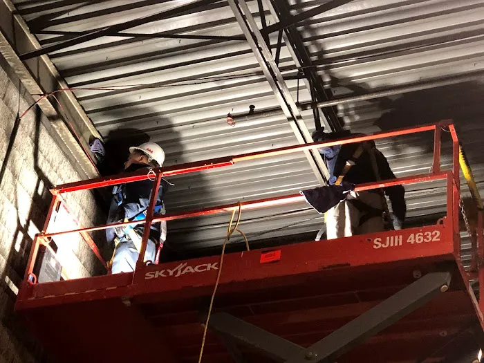 AAA Standard Picture 5