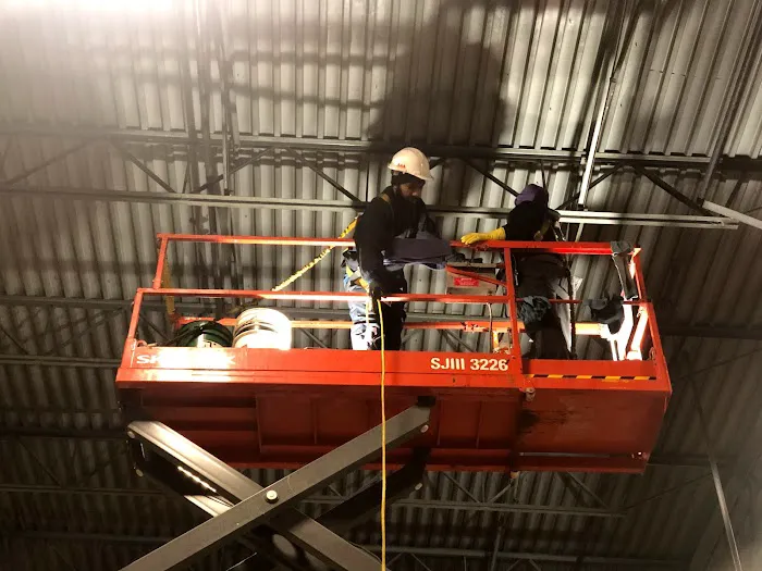 AAA Standard Picture 7