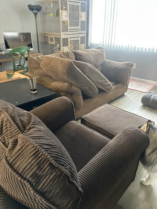 Stanley Steemer Picture 2