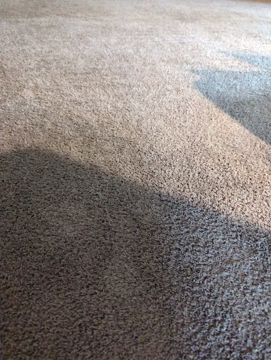 Stanley Steemer Picture 8