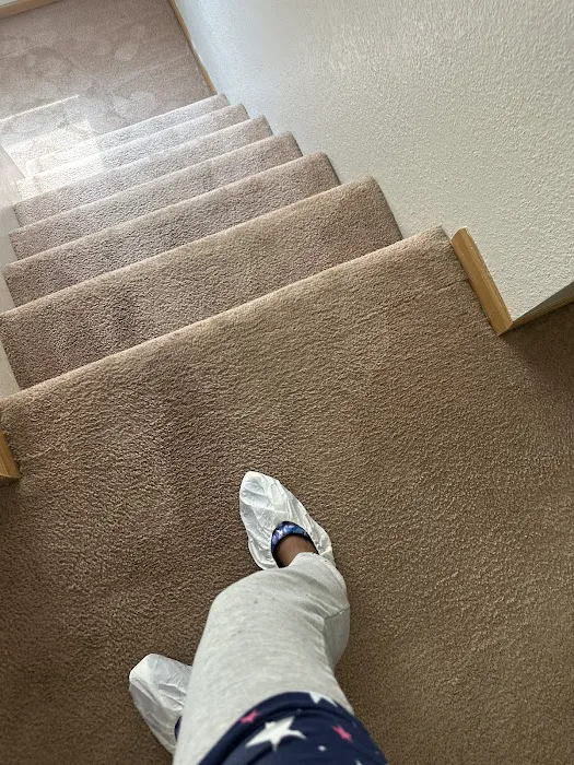 Stanley Steemer Picture 7