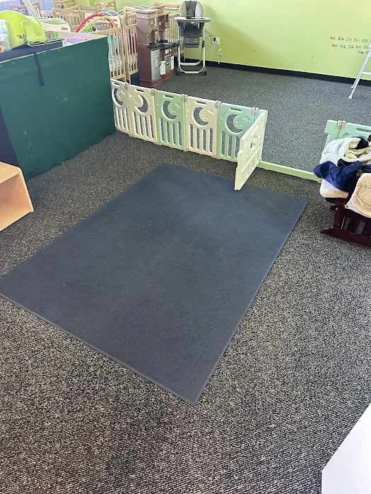 Stanley Steemer Picture 5