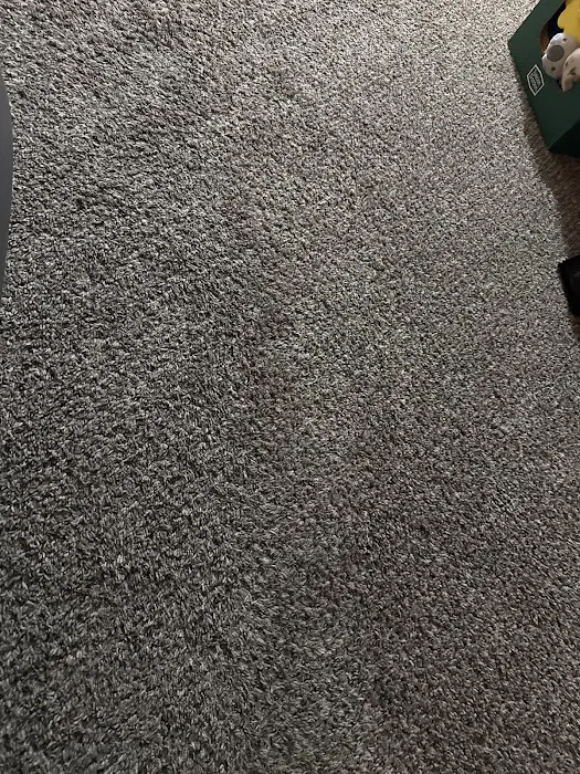 Stanley Steemer Picture 6