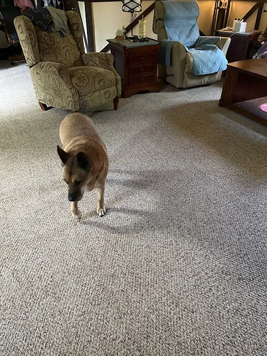 Stanley Steemer Picture 9