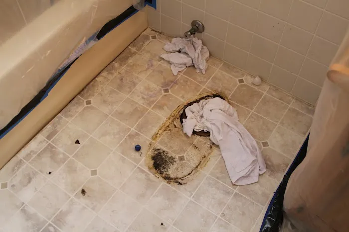 Mold Medics of Toledo Picture 5