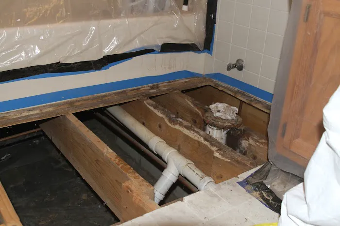 Mold Medics of Toledo Picture 10