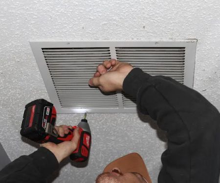 Mold Medics of Toledo