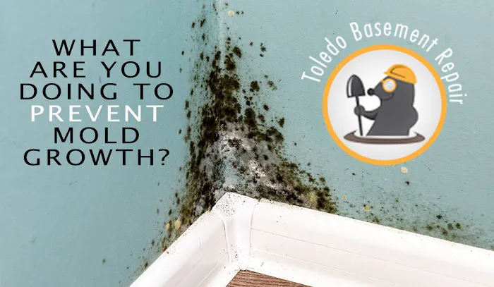 Toledo Basement Repair Picture 7