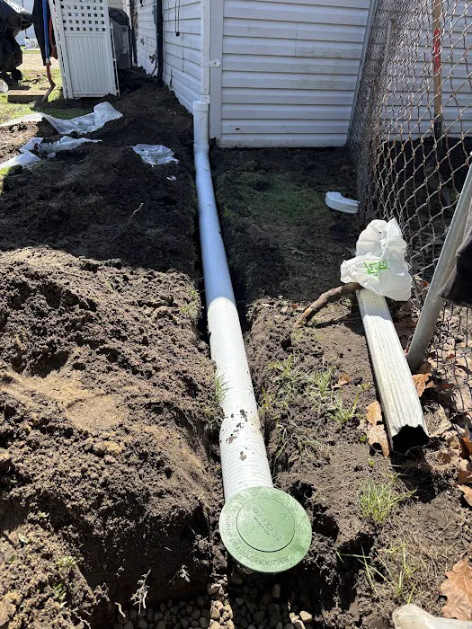 EverDry Toledo Picture 5