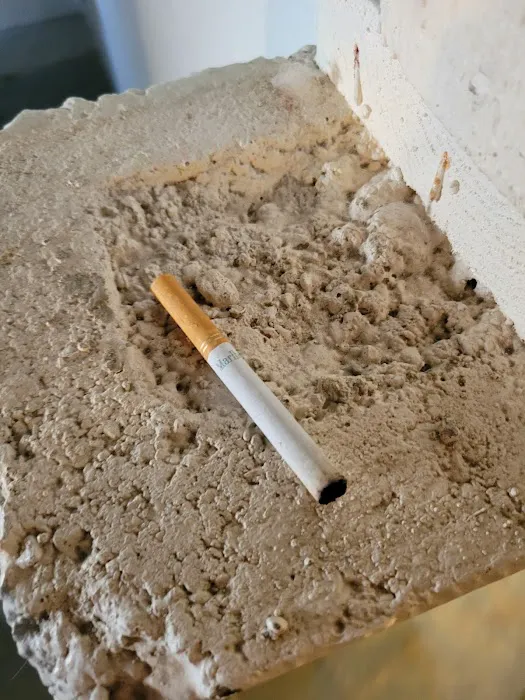 EverDry Toledo Picture 8