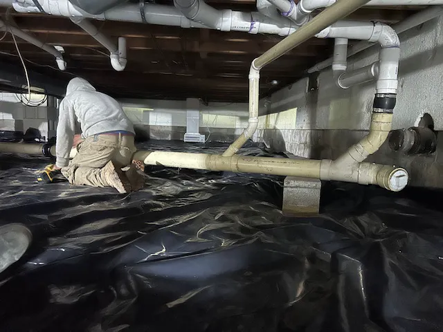 EverDry Toledo Picture 1