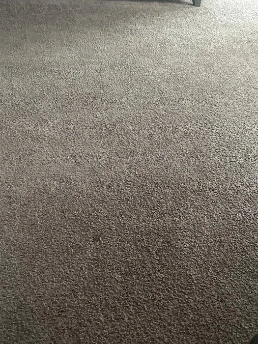 Stanley Steemer Picture 9