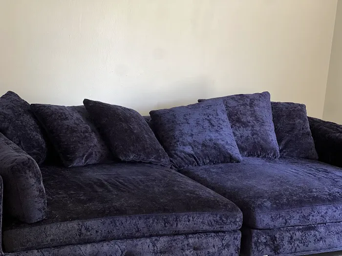 Stanley Steemer Picture 5