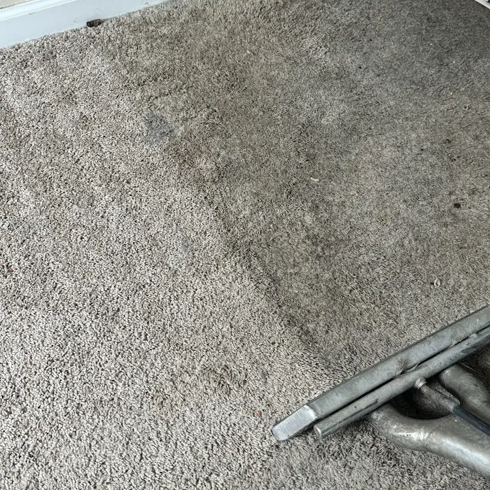 Stanley Steemer Picture 1