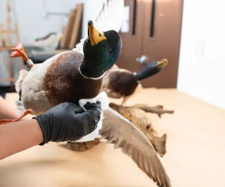 Prism Specialties of Southeast Michigan