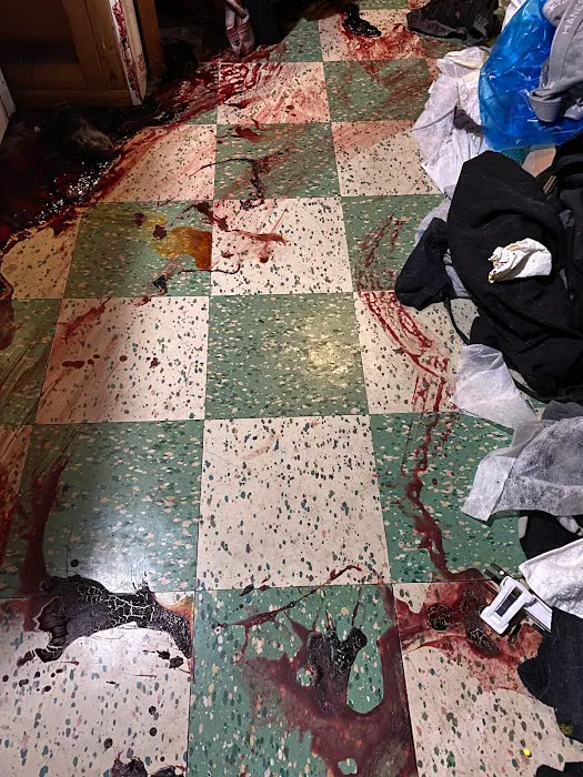 USA Restoration Picture 10