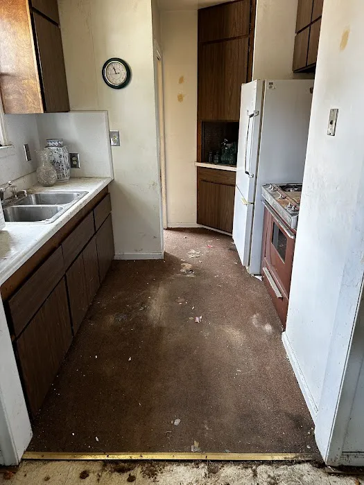 USA Restoration Picture 3