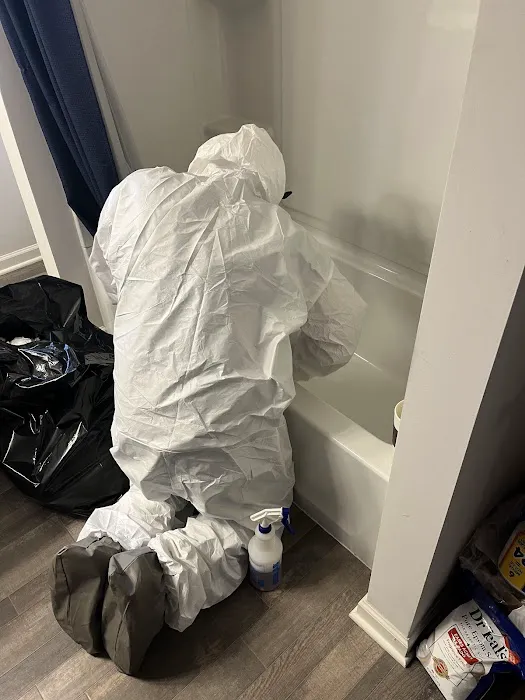 USA Restoration Picture 1