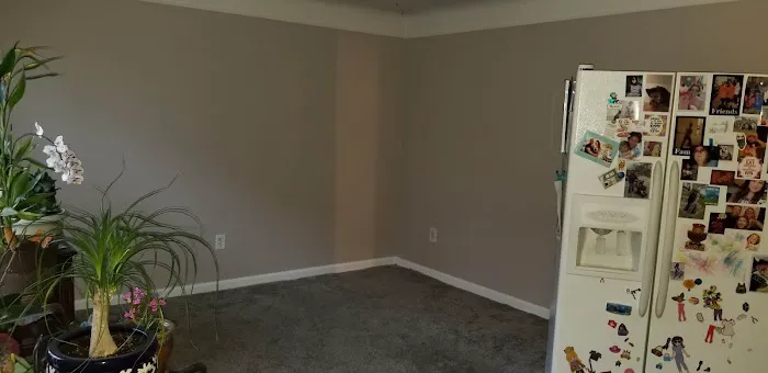 Kapi Restoration Company Picture 4