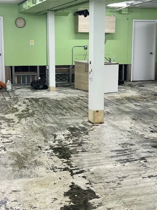 911 of Metro Detroit East Picture 5