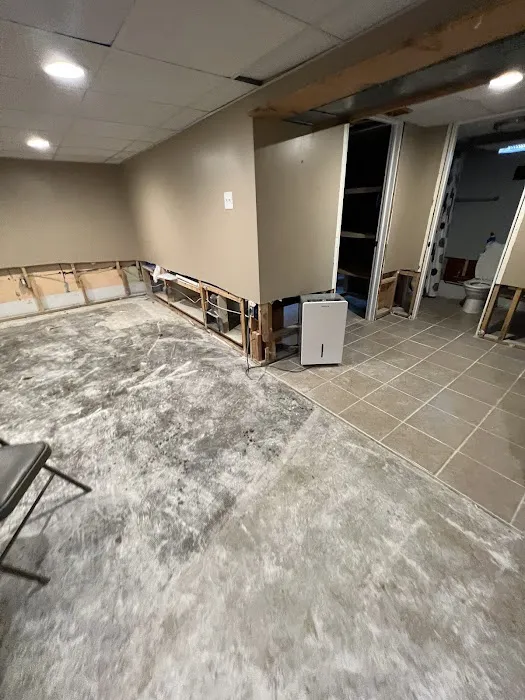 Swift Restoration Picture 2