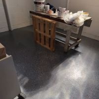 Crisis Restoration ico