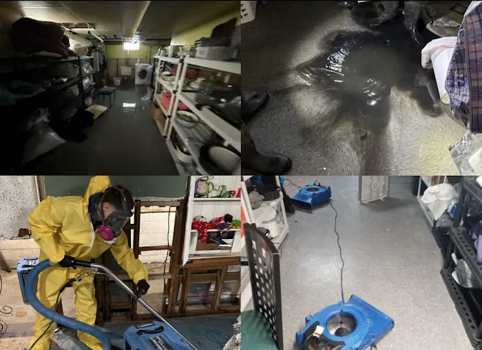 Crisis Restoration Picture 9