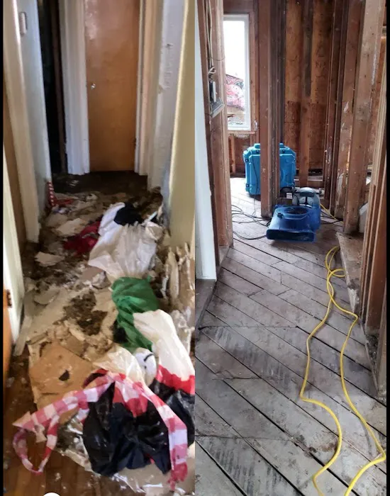 Crisis Restoration Picture 5