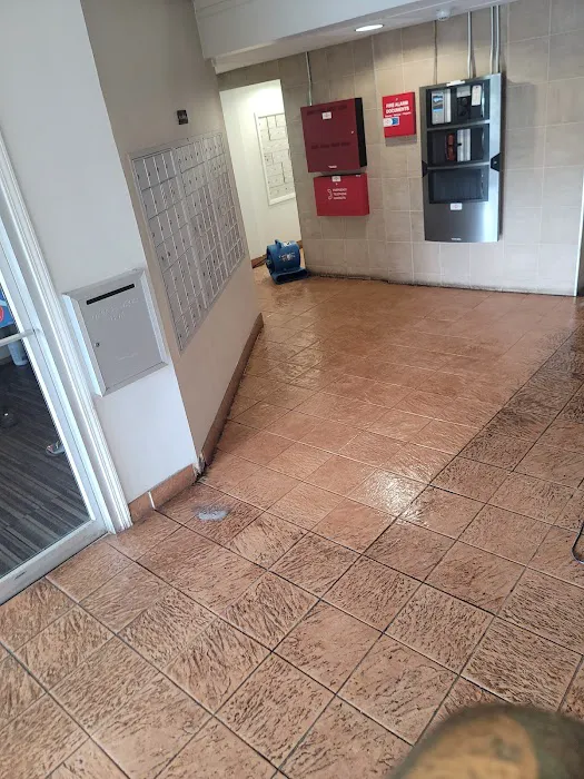 Wash On Wheels Picture 4