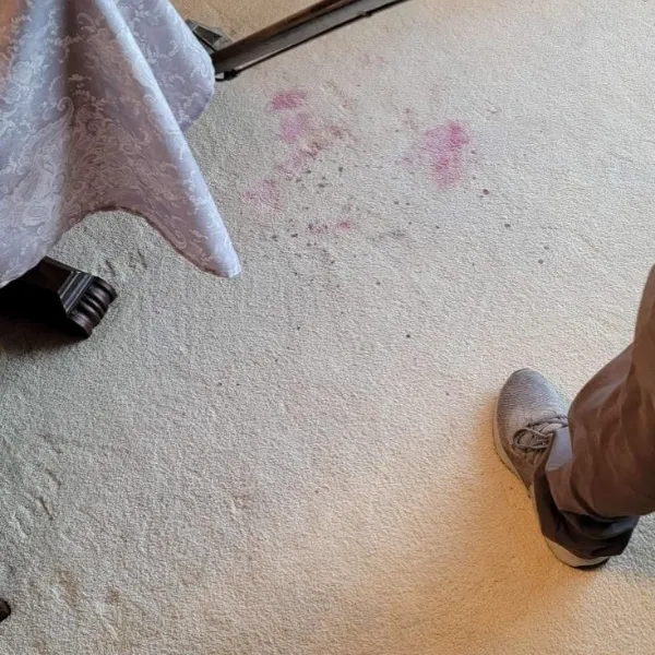 Wash On Wheels Picture 10