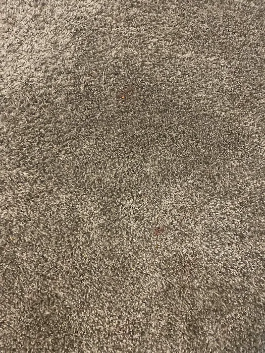 Wash On Wheels Picture 3