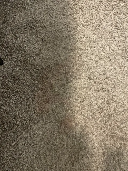 Wash On Wheels Picture 2